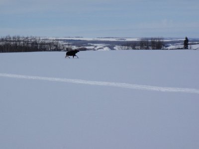 Riding The Back Fields at Tims